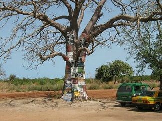 Lamin lodge